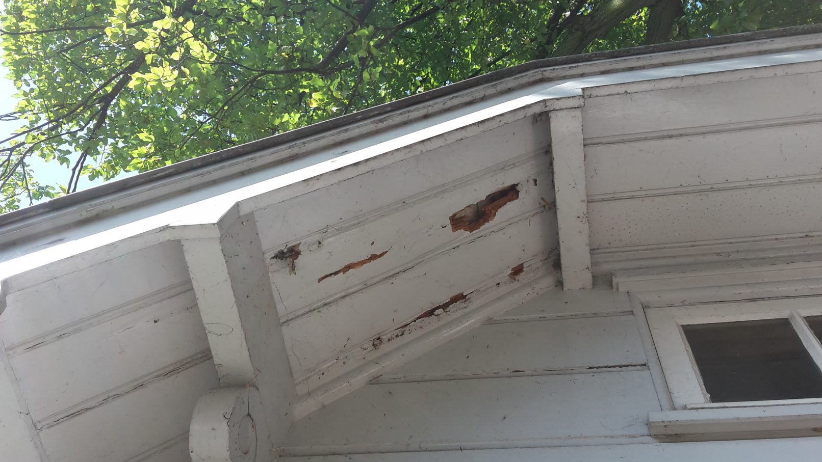 Wit geschilderd hout met bruine plekken door houtrot